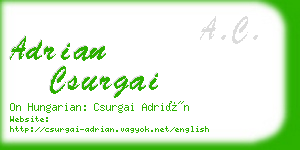 adrian csurgai business card